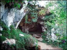 Entrada de la vegetada Cueva del Buxu